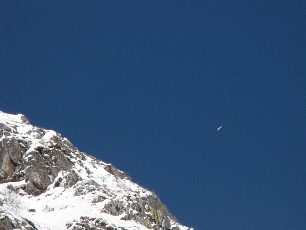 Era folgore l''aspetto, era neve il vestimento...